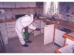 Control de plagas Limpieza de tanques fumigacin